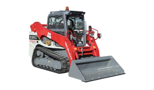 Minipala cingolata Takeuchi TL12V-2